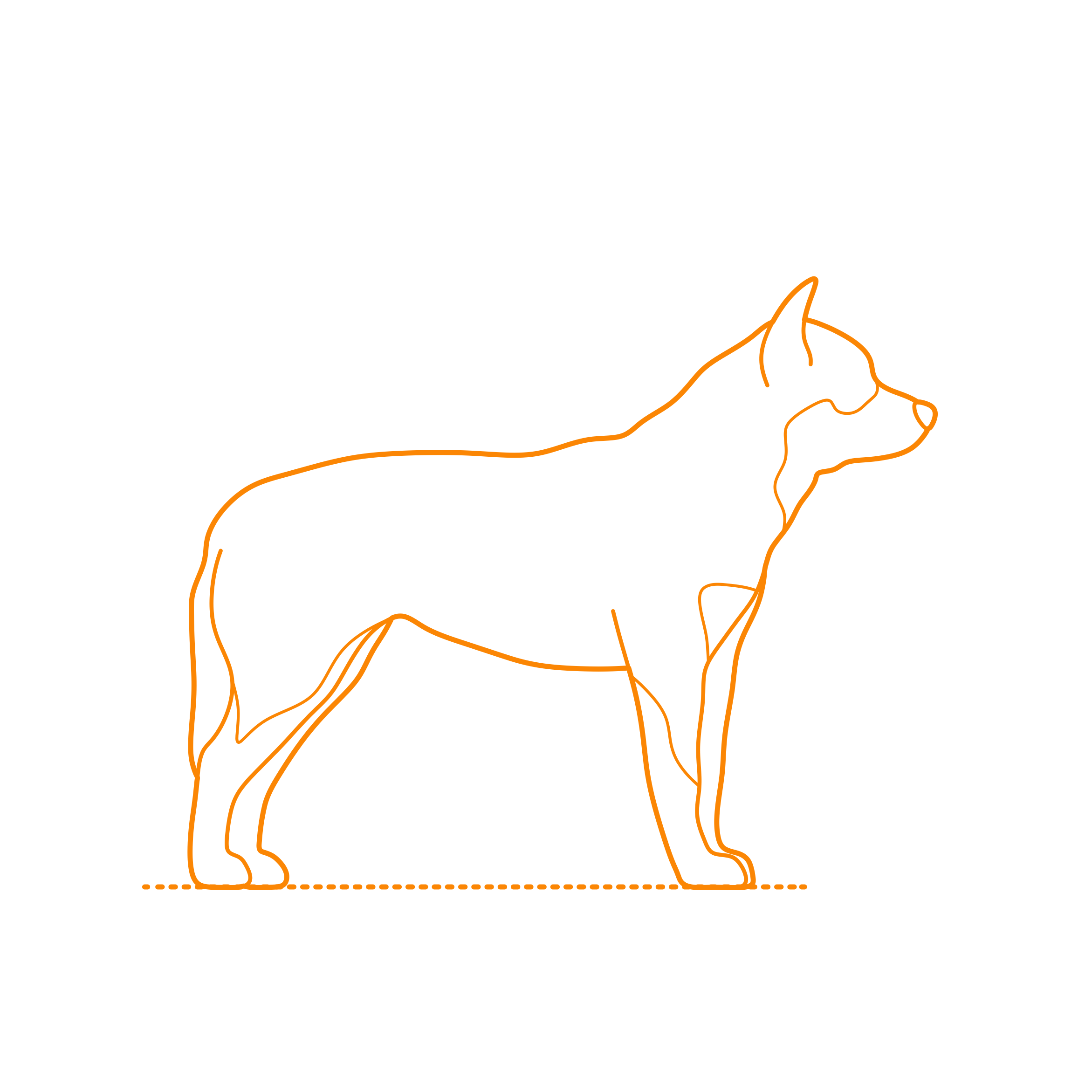 Animals Dogs Australian Cattle Dog Stencil Svg Design File Free Vectors